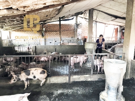 Công Ty TNHH Công Nghệ Môi Trường Quang Tiến Phát