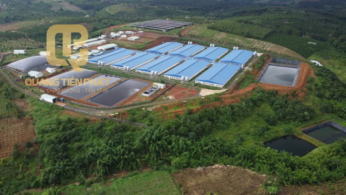 Thiết kế hệ thống xử lý nước thải chăn nuôi Heo Phú Long