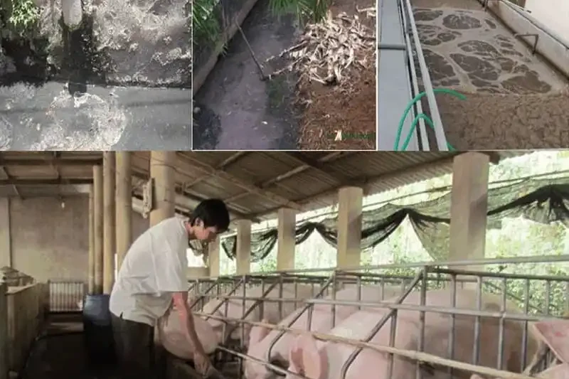 Công Ty TNHH Công Nghệ Môi Trường Quang Tiến Phát
