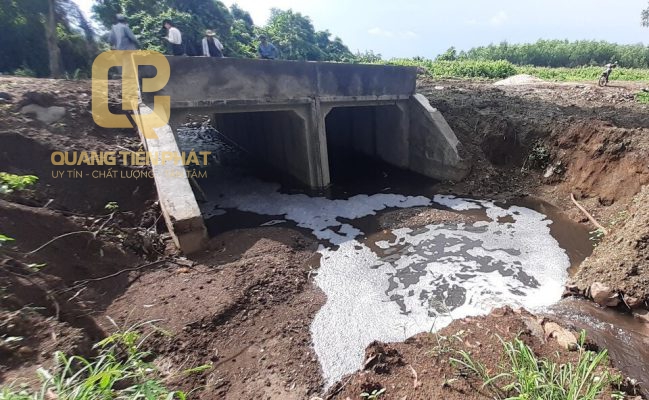 Thực trạng ô nhiễm nước thải chăn nuôi