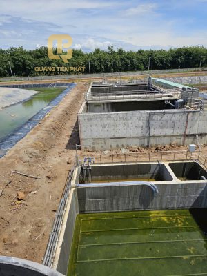 thi công hệ thống xử lý nước thải chăn nuôi Heo Xuân Mỹ